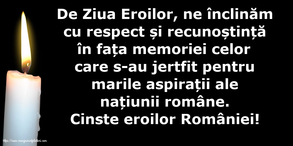 Cinste eroilor României!