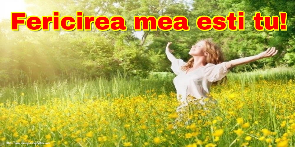 Felicitari de Ziua Fericirii - Fericirea mea esti tu! - mesajeurarifelicitari.com
