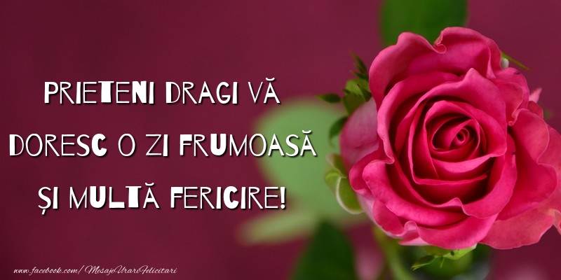 Prieteni dragi vă doresc o zi frumoasă și multă fericire!
