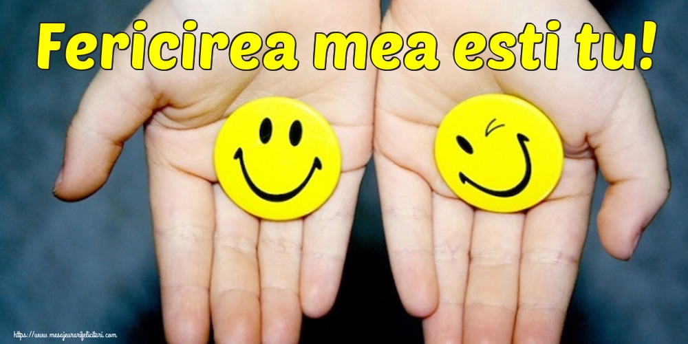 Felicitari de Ziua Fericirii - Fericirea mea esti tu! - mesajeurarifelicitari.com