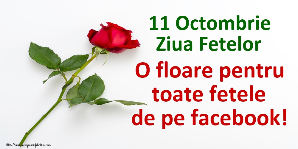 Felicitari de Ziua Fetelor - 11 Octombrie Ziua Fetelor O floare pentru toate fetele de pe facebook! - mesajeurarifelicitari.com