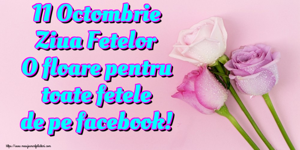 Felicitari de Ziua Fetelor - 11 Octombrie Ziua Fetelor O floare pentru toate fetele de pe facebook! - mesajeurarifelicitari.com
