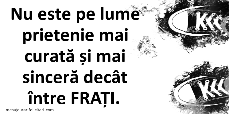 Nu este pe lume prietenie mai curată și mai sinceră decât între frați.