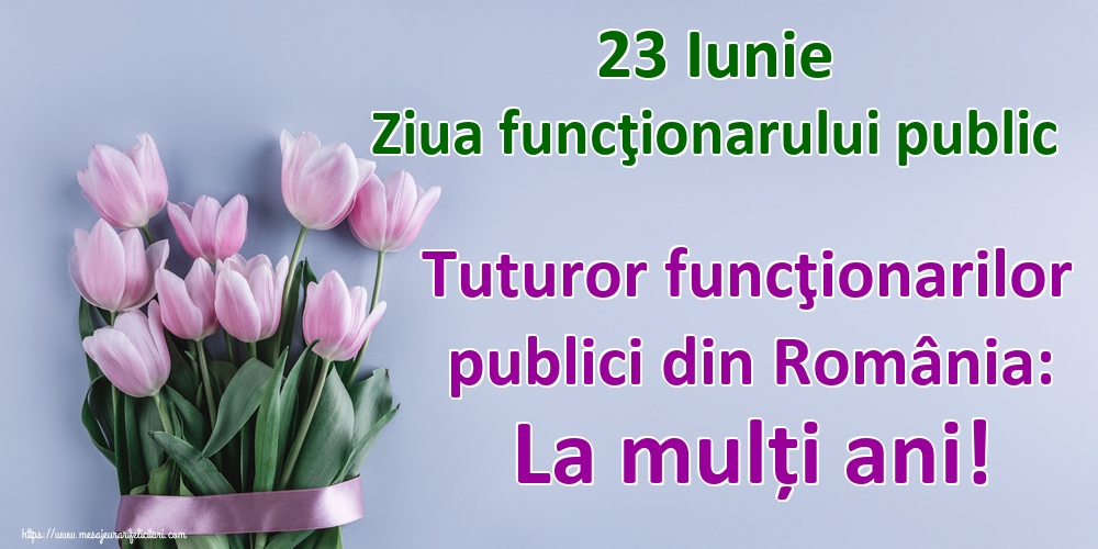 23 Iunie Ziua funcţionarului public Tuturor funcţionarilor publici din România: La mulți ani!