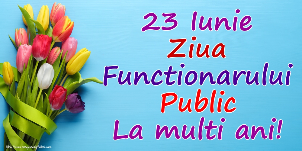 23 Iunie Ziua Functionarului Public La multi ani!