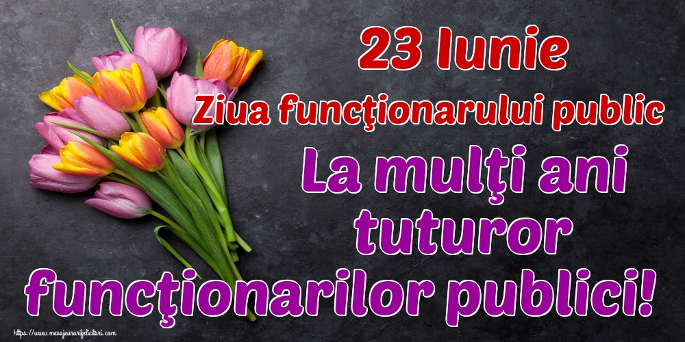 Ziua funcţionarului public 23 Iunie Ziua funcţionarului public La mulţi ani tuturor funcţionarilor publici!