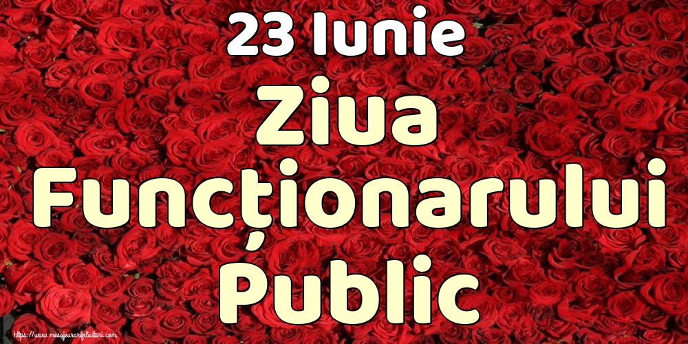 23 Iunie Ziua Funcţionarului Public