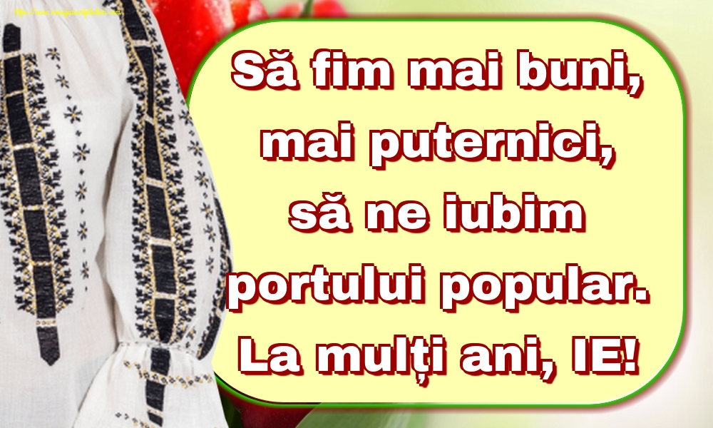Să fim mai buni, mai puternici, să ne iubim portului popular. La mulți ani, IE!
