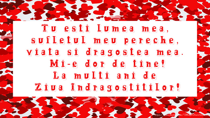 Tu esti lumea mea, sufletul meu pereche, viata si dragostea mea. Mi-e dor de tine! La multi ani de ziua indragostitilor!