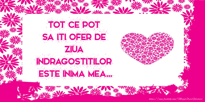 Tot ce pot sa iti ofer de ziua indragostitilor este inima mea ...