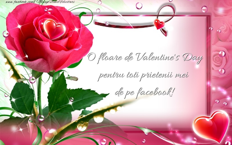 Felicitari Ziua indragostitilor - O floare de Valentine's Day pentru toti prietenii mei de pe facebook! - mesajeurarifelicitari.com