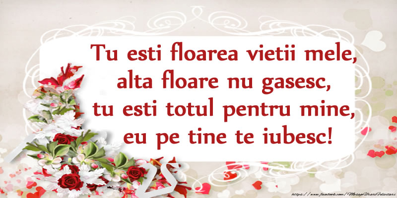 Tu esti floarea vietii mele, alta floare nu gasesc, tu esti totul pentru mine, eu pe tine te iubesc!
