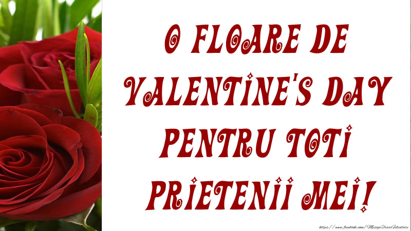 Felicitari Ziua indragostitilor - O floare de Valentine's Day pentru toti prietenii mei! - mesajeurarifelicitari.com