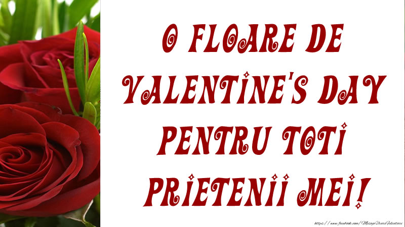 O floare de Valentine's Day pentru toti prietenii mei!