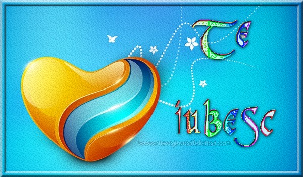 Te iubesc! Happy valentines day!