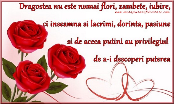 Dragostea nu este numai flori, zambete, iubire, ci inseamna si lacrimi, dorinta, pasiune si de aceea putini au privilegiul de a-i descoperi puterea
