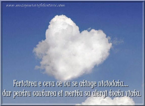 Fericirea e ceva ce nu se atinge niciodata... dar pentru cautarea ei merita sa alergi toata viata.