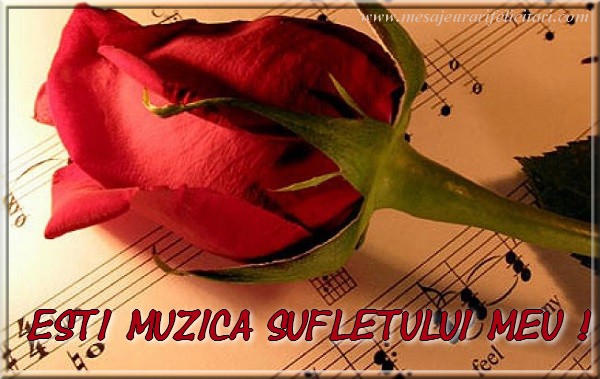 Esti muzica sufletului meu !
