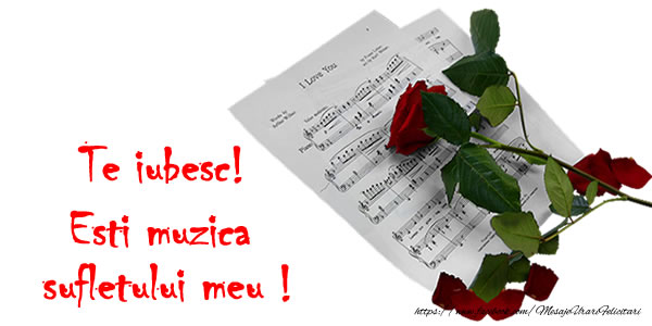 Felicitari Ziua indragostitilor - Te iubesc! Esti muzica sufletului meu ! - mesajeurarifelicitari.com