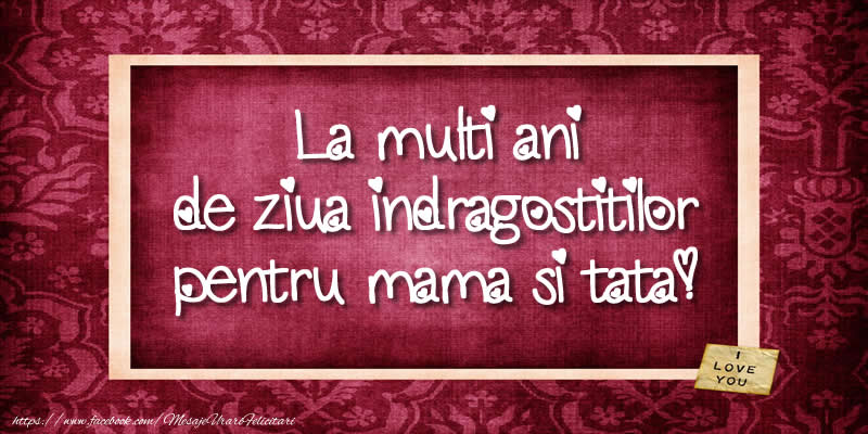 La multi ani de ziua indragostitilor pentru mama si tata!