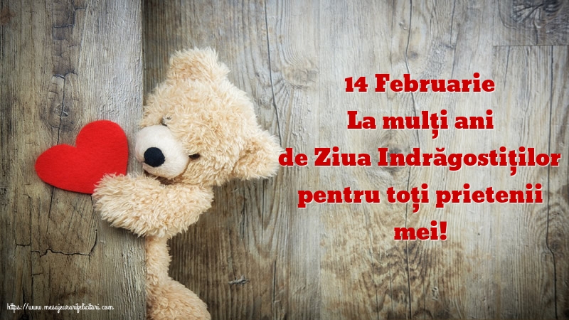 14 Februarie - La mulți ani de Ziua Indrăgostiților pentru toți prietenii mei!
