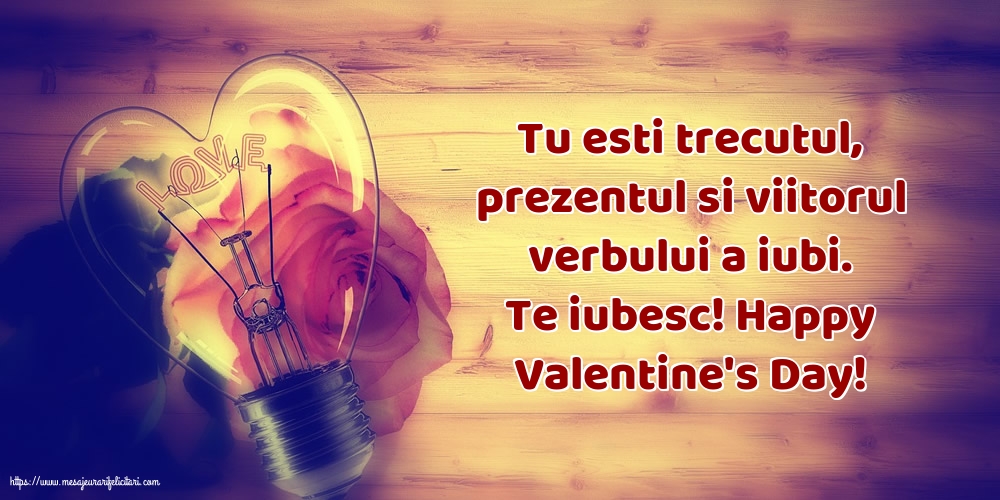 Ziua indragostitilor Te iubesc! Happy Valentine's Day!