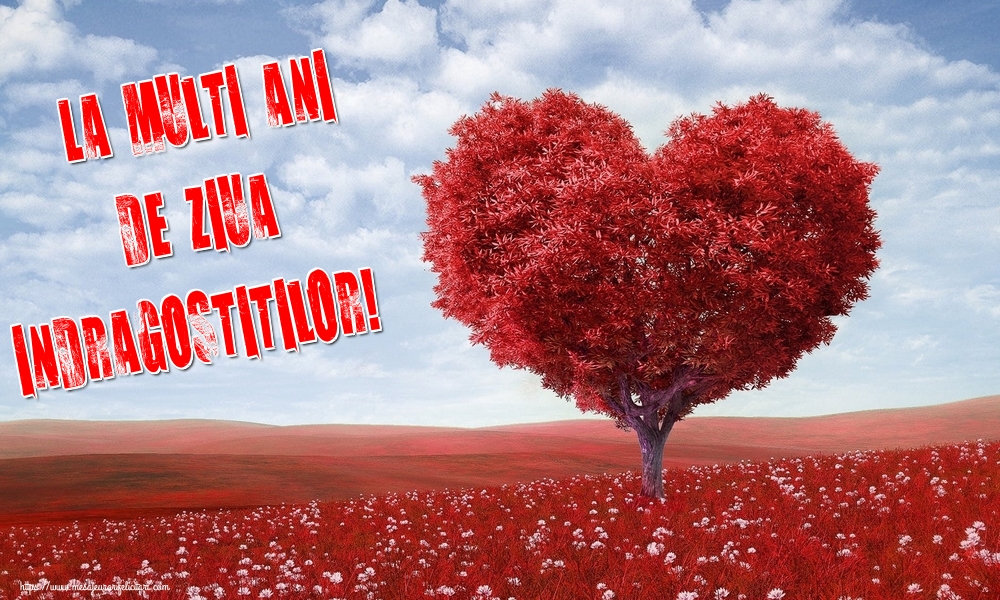 Felicitari Ziua indragostitilor - La multi ani de ziua indragostitilor! - mesajeurarifelicitari.com