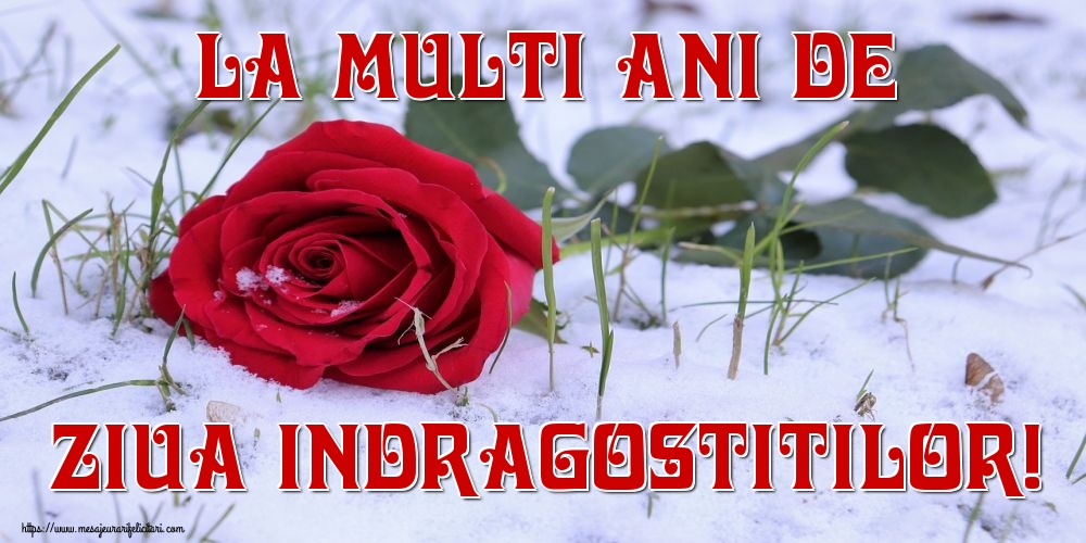 Felicitari Ziua indragostitilor - La multi ani de Ziua Indragostitilor! - mesajeurarifelicitari.com