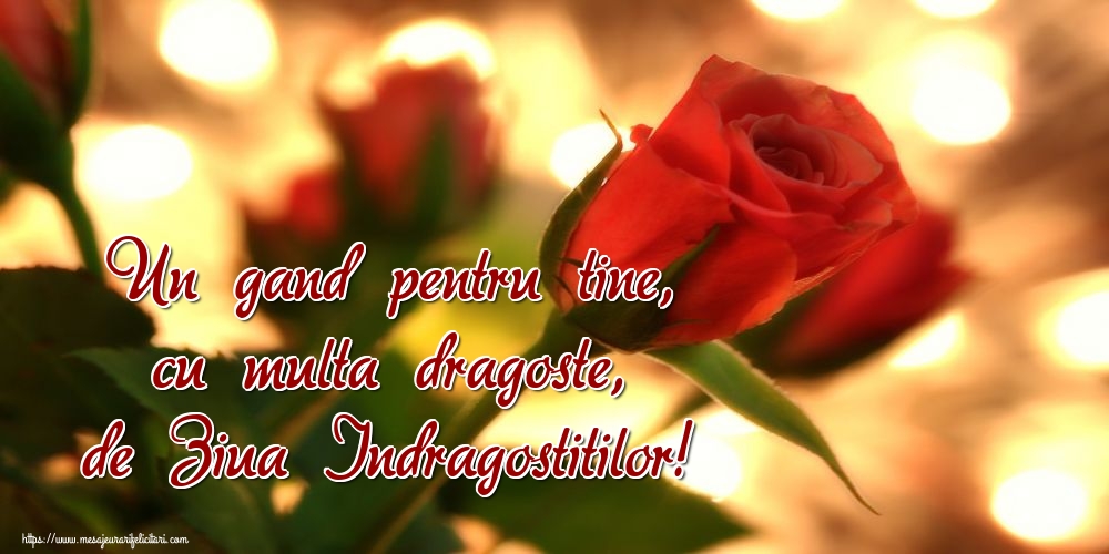 Un gand pentru tine, cu multa dragoste, de Ziua Indragostitilor!