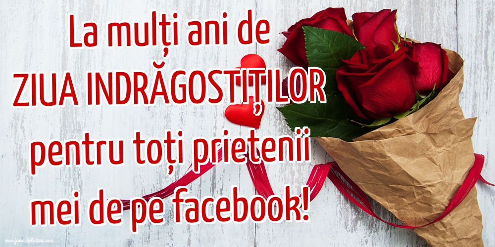 La mulți ani pentru toți prietenii mei de pe facebook!