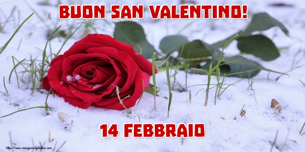 Felicitari Ziua indragostitilor - Buon San Valentino! 14 Febbraio - mesajeurarifelicitari.com