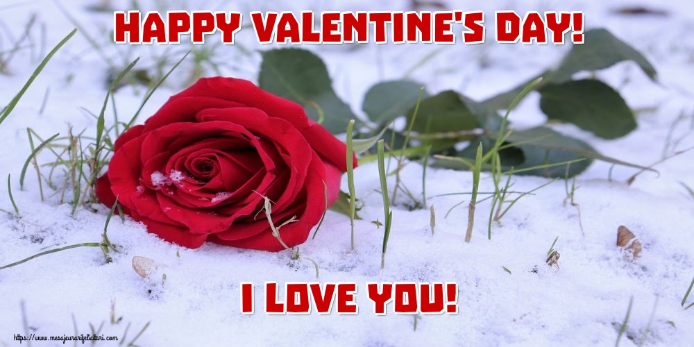Felicitari Ziua indragostitilor - Happy Valentine's Day! I love you! - mesajeurarifelicitari.com