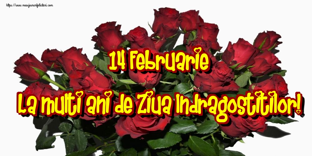 14 Februarie La multi ani de Ziua Indragostitilor!