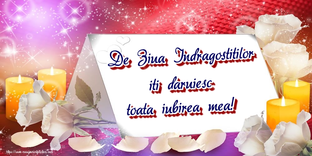 Felicitari Ziua indragostitilor - De Ziua Indragostitilor iti daruiesc toata iubirea mea! - mesajeurarifelicitari.com