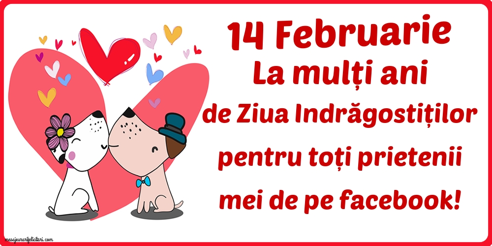 La mulți ani pentru toți prietenii mei de pe facebook!