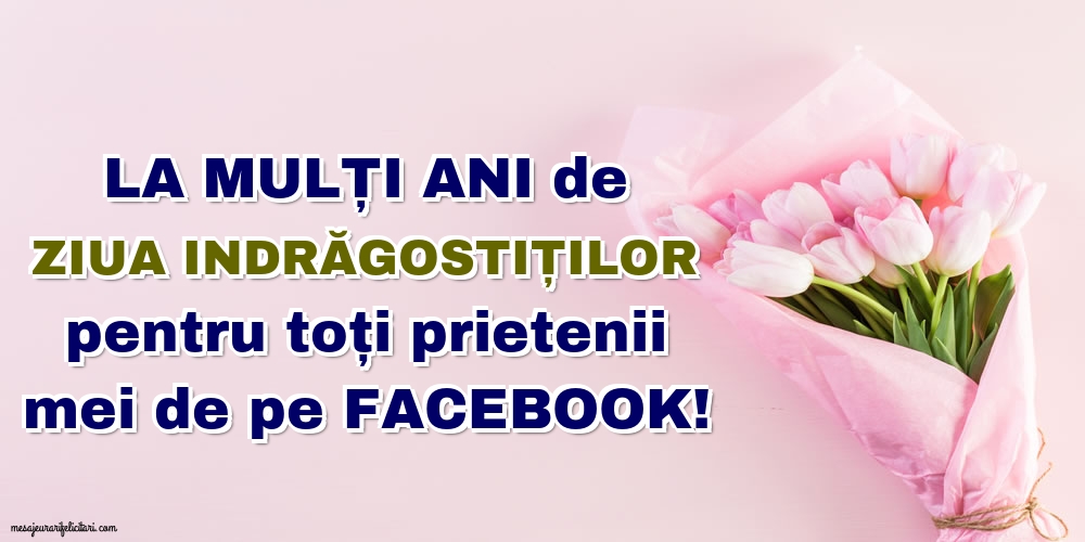 La mulți ani pentru toți prietenii mei de pe facebook!