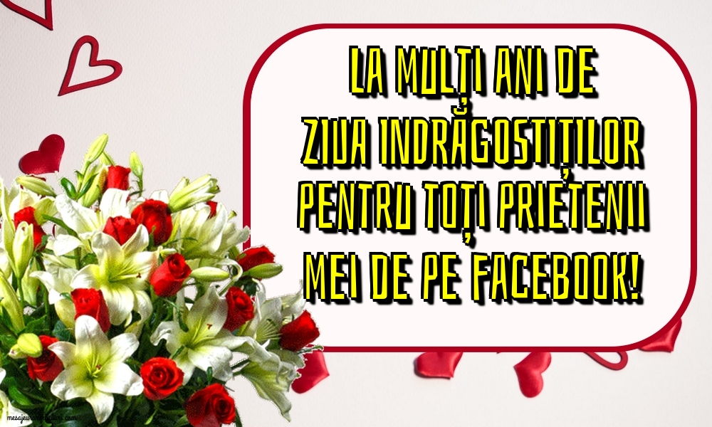 La mulți ani pentru toți prietenii mei de pe facebook!
