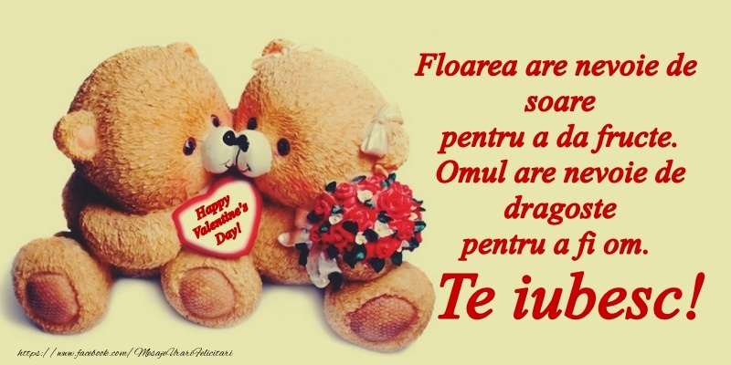 Felicitari Ziua indragostitilor - Happy Valentine's Day! - mesajeurarifelicitari.com