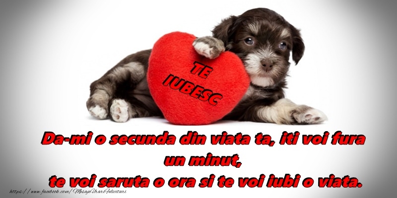 Happy Valentine's Day!