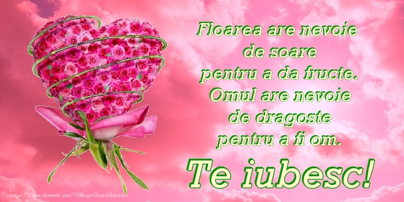 Happy Valentine's Day!