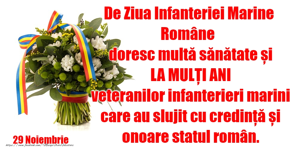 29 Noiembrie - Ziua Infanteriei Marine Române