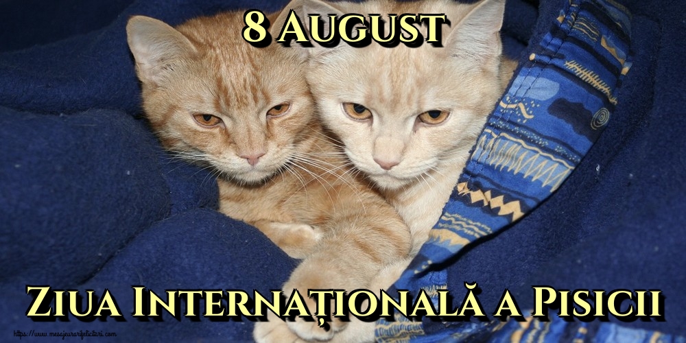 Felicitari de Ziua Internațională a Pisicii - 8 August Ziua Internațională a Pisicii - mesajeurarifelicitari.com