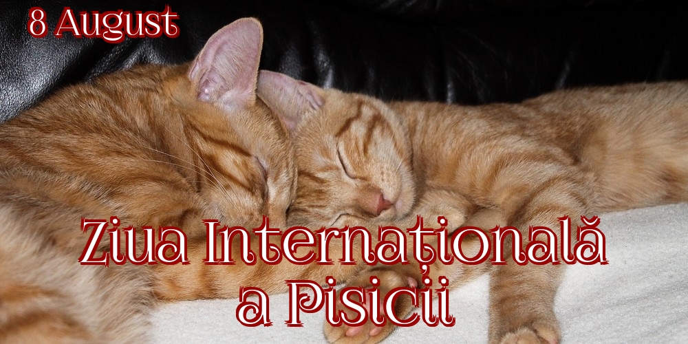 Felicitari de Ziua Internațională a Pisicii - 8 August Ziua Internațională a Pisicii - mesajeurarifelicitari.com