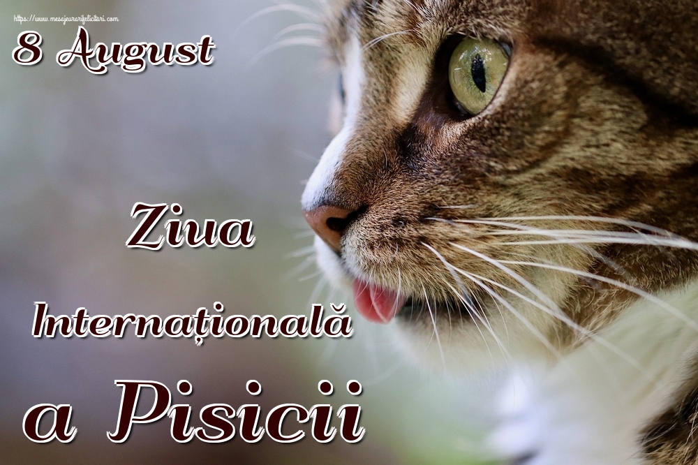 Ziua Internațională a Pisicii 8 August Ziua Internațională a Pisicii