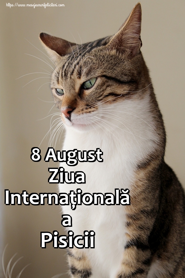 8 August Ziua Internațională a Pisicii