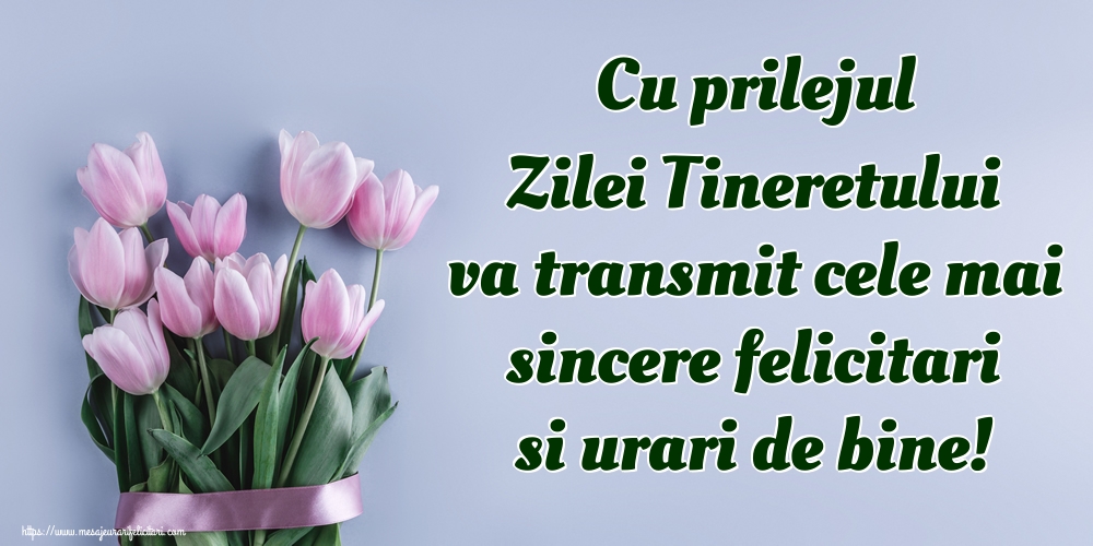 Cu prilejul Zilei Tineretului va transmit cele mai sincere felicitari si urari de bine!
