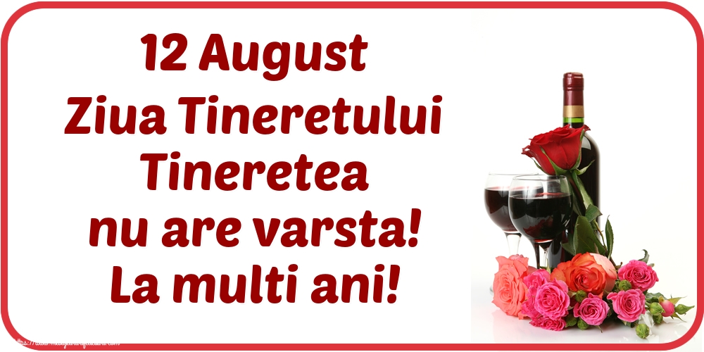 Ziua Internationala a Tineretului 12 August Ziua Tineretului Tineretea nu are varsta! La multi ani!