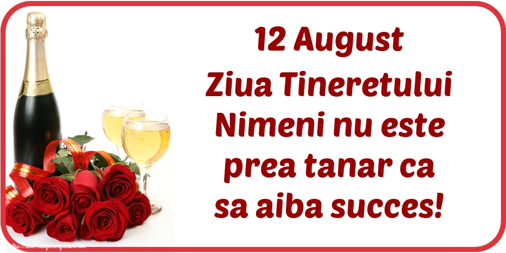 12 August Ziua Tineretului Nimeni nu este prea tanar ca sa aiba succes!