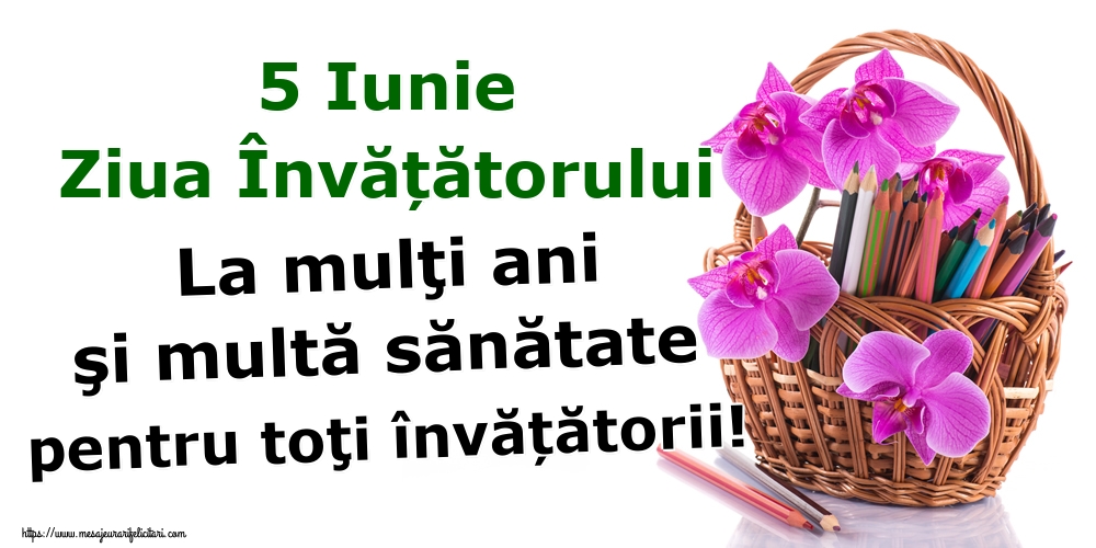 5 Iunie Ziua Învățătorului La mulţi ani şi multă sănătate pentru toţi învățătorii!