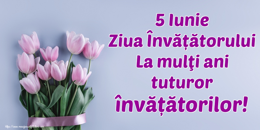 5 Iunie Ziua Învățătorului La mulţi ani tuturor învățătorilor!